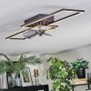 Hyacinthe Plafonnier, Ventilateur de plafond lumineux LED Chrome, Noir, 1 lumière, Télécommandes