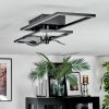 Hyacinthe Plafonnier, Ventilateur de plafond lumineux LED Chrome, Noir, 1 lumière, Télécommandes