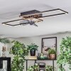 Hyacinthe Plafonnier, Ventilateur de plafond lumineux LED Chrome, Noir, 1 lumière, Télécommandes