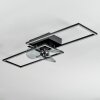 Hyacinthe Plafonnier, Ventilateur de plafond lumineux LED Chrome, Noir, 1 lumière, Télécommandes