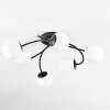 Chehalis Plafonnier, Boule lumineuse Blanc, 6 lumières