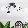 Chehalis Plafonnier, Boule lumineuse Blanc, 6 lumières
