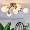 Chehalis Plafonnier, Boule lumineuse Blanc, 6 lumières