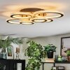Ronak Plafonnier LED Noir, 1 lumière, Télécommandes