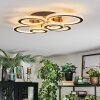Ronak Plafonnier LED Noir, 1 lumière, Télécommandes