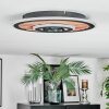 Meron Plafonnier LED Couleur bois, Noir, 1 lumière