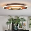 Meron Plafonnier LED Couleur bois, Noir, 1 lumière