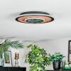 Meron Plafonnier LED Couleur bois, Noir, 1 lumière