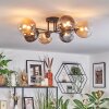 Chehalis Plafonnier, Boule lumineuse Ambre, Clair, Fumé, 6 lumières