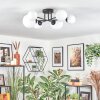 Chehalis Plafonnier, Boule lumineuse Blanc, 6 lumières