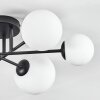Chehalis Plafonnier, Boule lumineuse Blanc, 6 lumières
