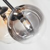 Chehalis Plafonnier, Boule lumineuse 60 cm Ambre, Clair, Fumé, 6 lumières Chehalis Plafonnier, Boule lumineuse 60 cm Ambre, Clair, Fumé, 6 lumières