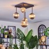 Chehalis Plafonnier, Boule lumineuse Fumé, 5 lumières