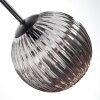 Chehalis Plafonnier, Boule lumineuse Fumé, 5 lumières