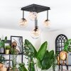Chehalis Plafonnier, Boule lumineuse Ambre, Clair, 5 lumières