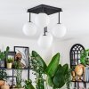 Chehalis Plafonnier, Boule lumineuse Blanc, 5 lumières
