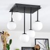 Chehalis Plafonnier, Boule lumineuse Blanc, 5 lumières