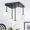 Chehalis Plafonnier, Boule lumineuse Blanc, 5 lumières