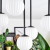 Chehalis Plafonnier, Boule lumineuse Blanc, 5 lumières