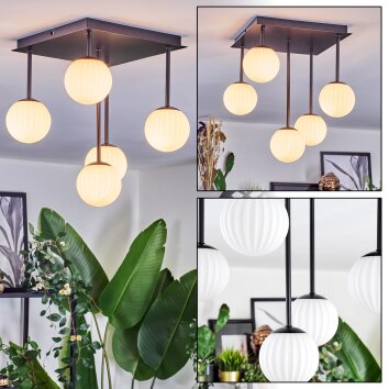 Chehalis Plafonnier, Boule lumineuse Blanc, 5 lumières