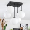 Chehalis Plafonnier, Boule lumineuse Blanc, 5 lumières