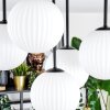 Chehalis Plafonnier, Boule lumineuse Blanc, 5 lumières