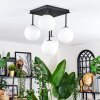 Chehalis Plafonnier, Boule lumineuse Blanc, 5 lumières