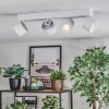 Narel Plafonnier, Spot de plafond LED Blanc, 4 lumières