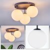 Chehalis Plafonnier, Boule lumineuse Blanc, 3 lumières