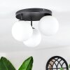 Chehalis Plafonnier, Boule lumineuse Blanc, 3 lumières