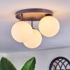 Chehalis Plafonnier, Boule lumineuse Blanc, 3 lumières