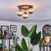 Chehalis Plafonnier, Boule lumineuse Fumé, 3 lumières