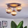 Chehalis Plafonnier, Boule lumineuse Fumé, 3 lumières