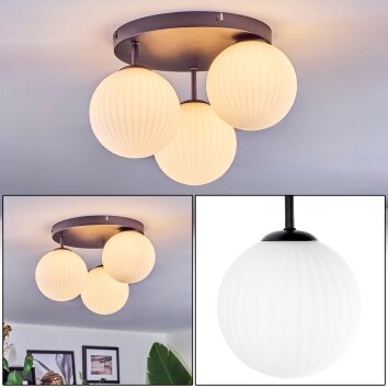 Chehalis Plafonnier, Boule lumineuse Blanc, 3 lumières