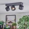 Narel Plafonnier, Spot de plafond LED Noir, 3 lumières