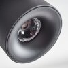 Narel Plafonnier, Spot de plafond LED Noir, 4 lumières