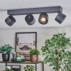 Narel Plafonnier, Spot de plafond LED Noir, 4 lumières
