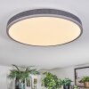 Salmi Plafonnier, Panel LED Gris, Argenté, 1 lumière, Télécommandes