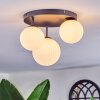 Chehalis Plafonnier, Boule lumineuse 30 cm Blanc, 3 lumières