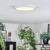 Finsrud Plafonnier, Panel LED Blanc, 1 lumière