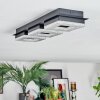 Walon Plafonnier LED Noir, 1 lumière