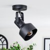 Tylar Plafonnier, Spot de plafond Noir, 1 lumière