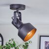 Tylar Plafonnier, Spot de plafond Noir, 1 lumière