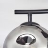 Ripoll Plafonnier, Boule lumineuse Fumé, 2 lumières
