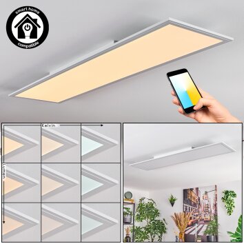 Belan Plafonnier, Panel LED Blanc, 1 lumière
