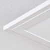 Belan Plafonnier, Panel LED Blanc, 1 lumière, Télécommandes