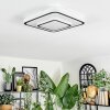 Borin Plafonnier LED Gris, Blanc, 1 lumière