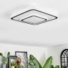 Borin Plafonnier LED Gris, Blanc, 1 lumière
