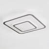 Borin Plafonnier LED Gris, Blanc, 1 lumière