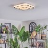 Borin Plafonnier LED Gris, Blanc, 1 lumière